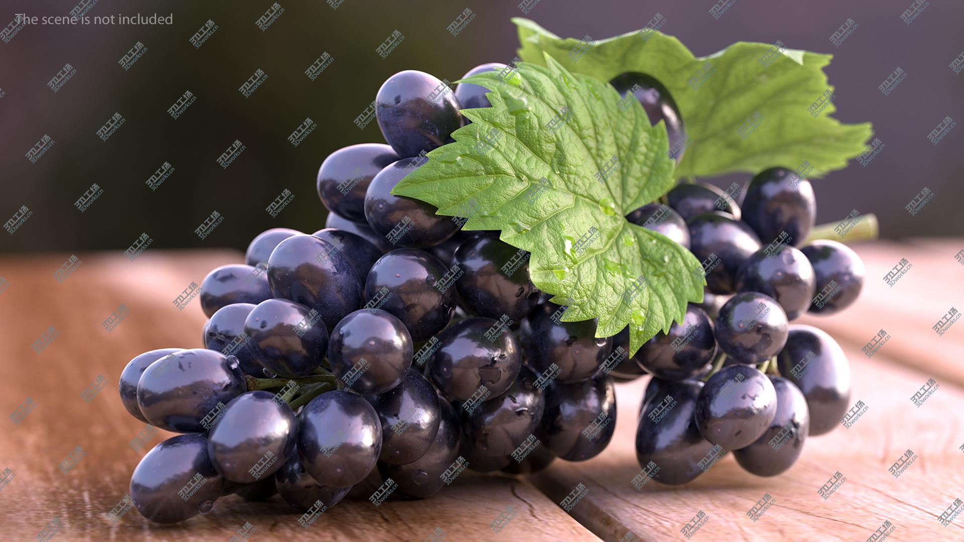 images/goods_img/2021040163/3D Bunch of Black Grapes/4.jpg